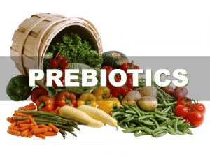 Prebiotics